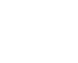 Blog Dany Barros